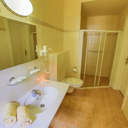 Lazenska Lecebna Manes 3*