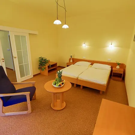 Lazenska Lecebna Manes ホテル 3*