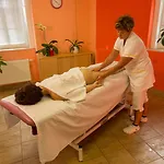 Hotel Lazenska Lecebna Manes 3*