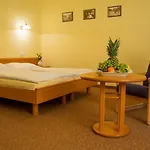 Lazenska Lecebna Manes 3*