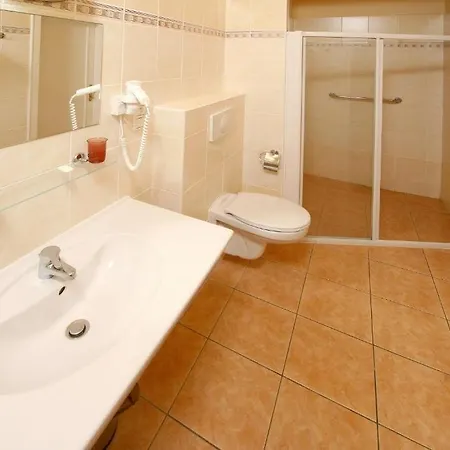 Lazenska Lecebna Manes 3*