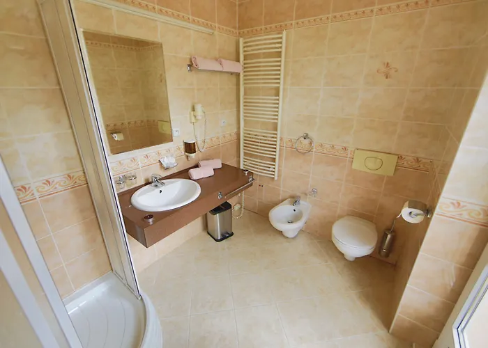 Hotell Lazenska Lecebna Manes 3*