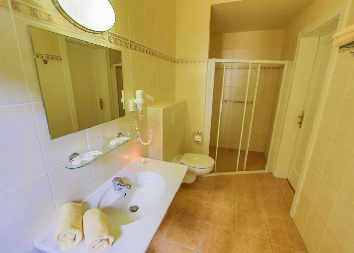 Lazenska Lecebna Manes 3*
