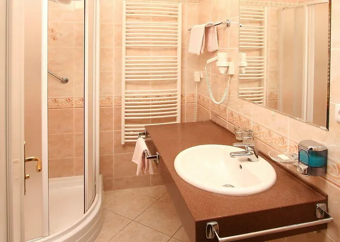 Lazenska Lecebna Manes Hotell 3*