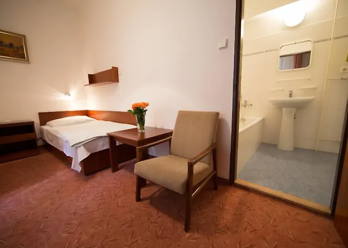 Hotell Lazenska Lecebna Manes 3*