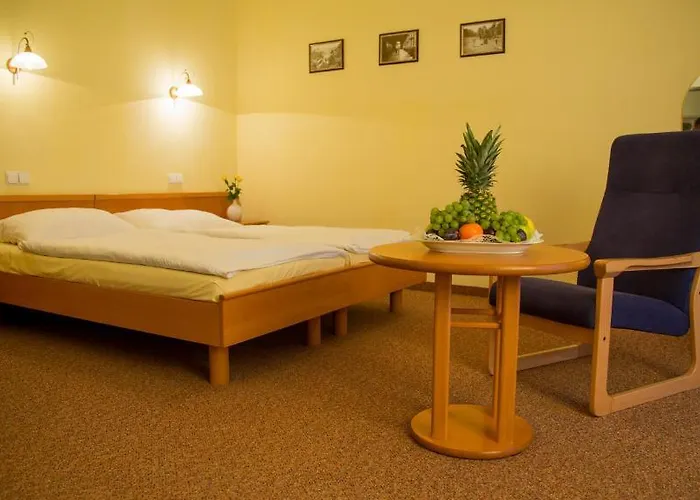 Lazenska Lecebna Manes 3*