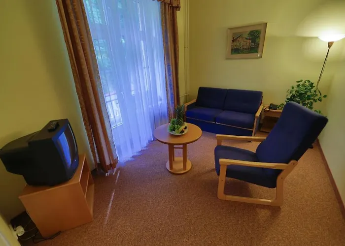 Hotell Lazenska Lecebna Manes Karlovy Vary