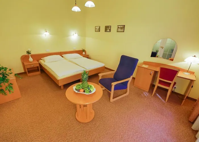 Lazenska Lecebna Manes Hotell