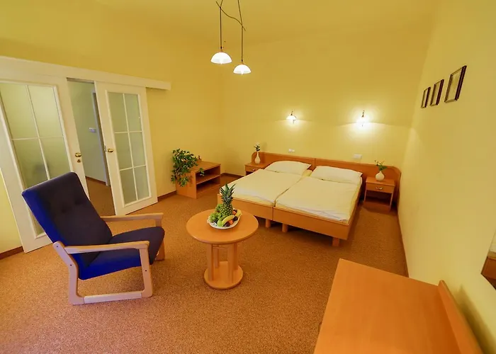 Lazenska Lecebna Manes Hotell 3*