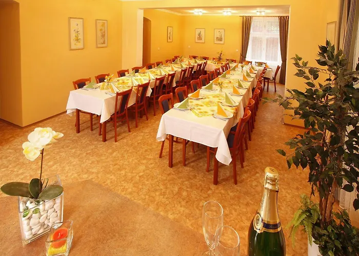 Lazenska Lecebna Manes 3*
