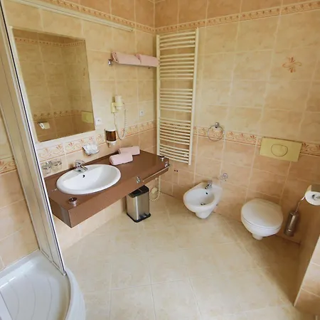 Lazenska Lecebna Manes 3* Karlovy Vary